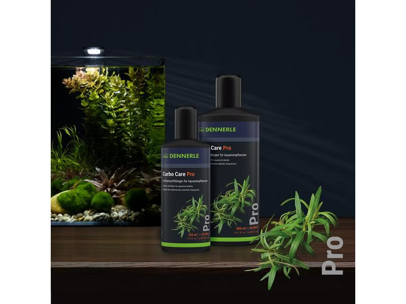 Dennerle Pflanzendünger Carbo Care Pro, 250 ml