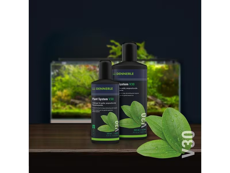 Dennerle Pflanzendünger Plant System V30, 250 ml