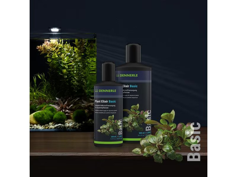 Dennerle Pflanzenpflege Plant Elixier Basic, 250 ml