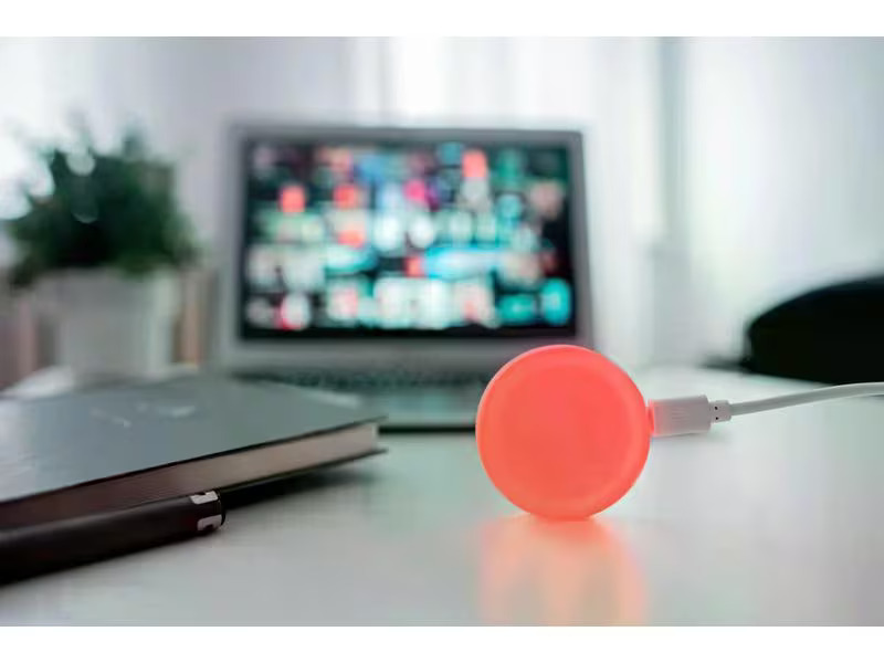 Luxafor Stummschalttaste mit 0.5 m USB-A Kabel