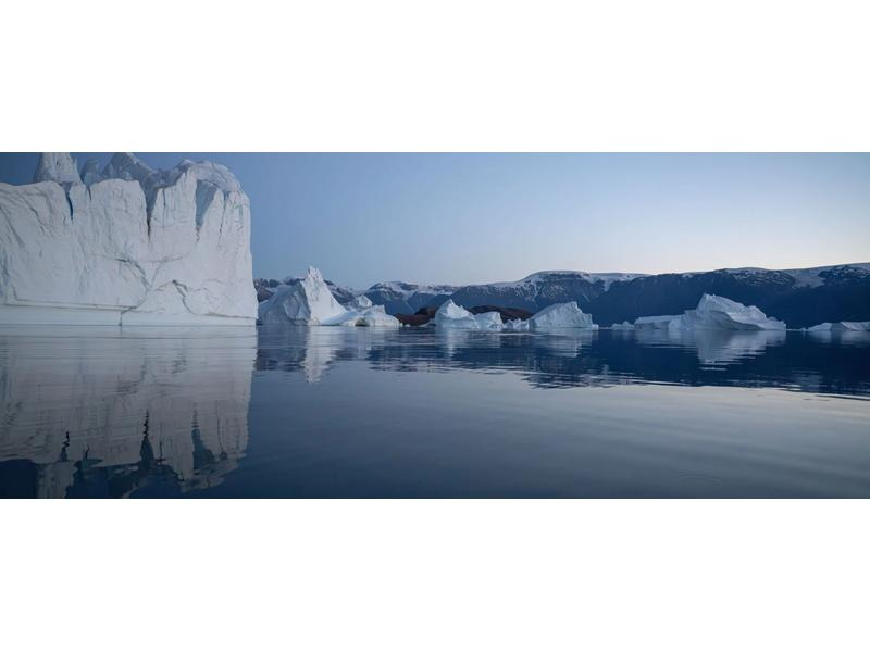 PolarPro Filter Vivid Collection Osmo Pocket 3