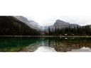 PolarPro Filter Circular Polarizer Osmo Pocket 3