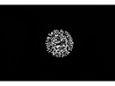 Nanlite AS-GB-FMM-SET2 - Gobo Set