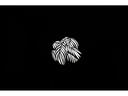 Nanlite AS-GB-FMM-SET2 - Gobo Set