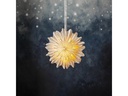 Star Trading Papierstern Cloud, 45 cm, Weiss