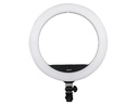 Nanlite Dauerlicht halo 16C RGB Ringleuchte