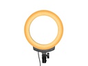 Nanlite Dauerlicht halo 10B