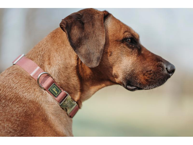 Hunter Halsband Inari Alu-Strong, M, Pastellrot