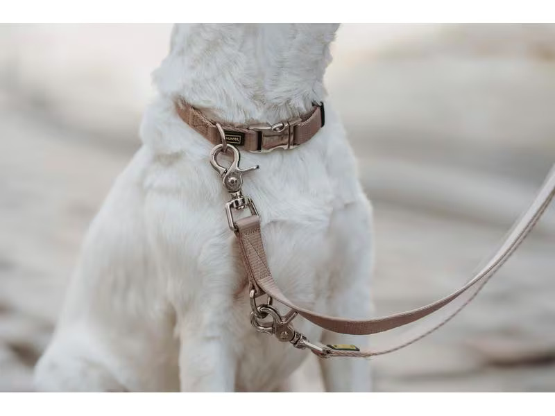 Hunter Halsband Inari Alu-Strong, M, Beige