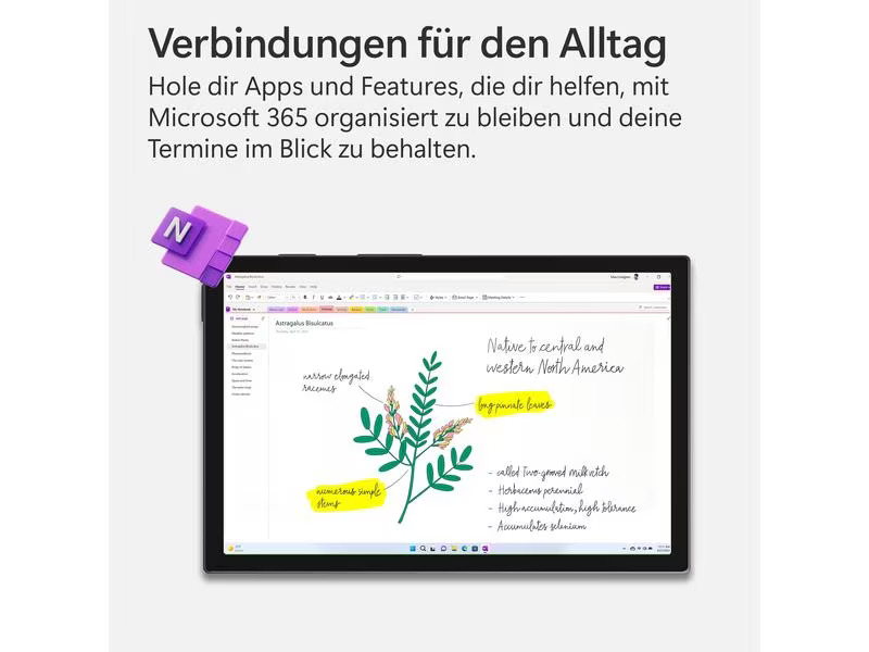Microsoft 365 Personal Box, 1 User, Französisch