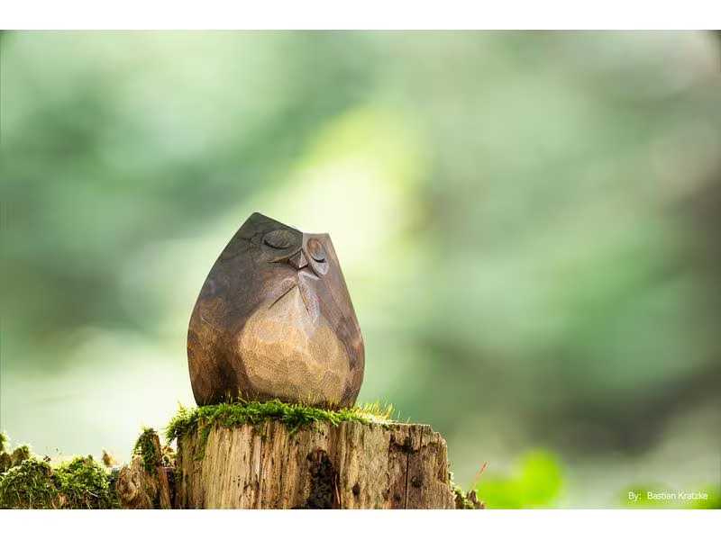 TTArtisan Festbrennweite 500mm F/6.3 – L-Mount