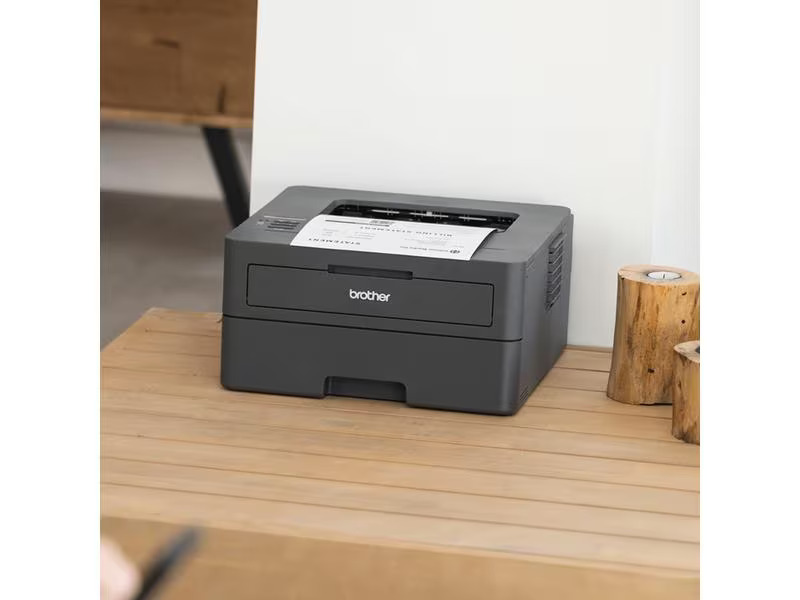 Brother Drucker HL-L2400DW