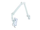 Neomounts by NewStar Wandhalterung FPMA-HAW200 Wandhalter