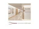 Paulmann Pro Strip Gold P75 930