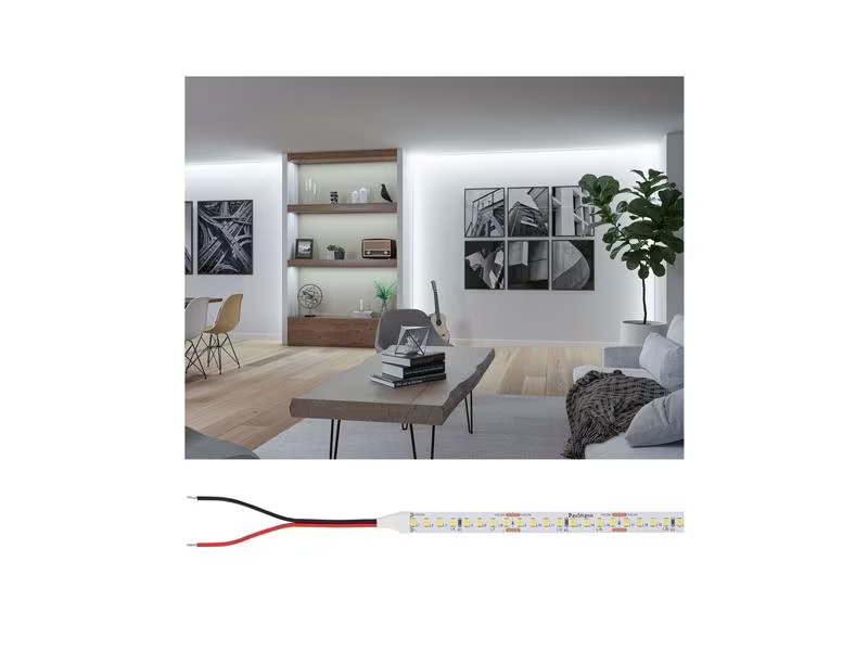 Paulmann Pro LED Strip Silver P150 865 5m 50W 160LEDs/m 6500K