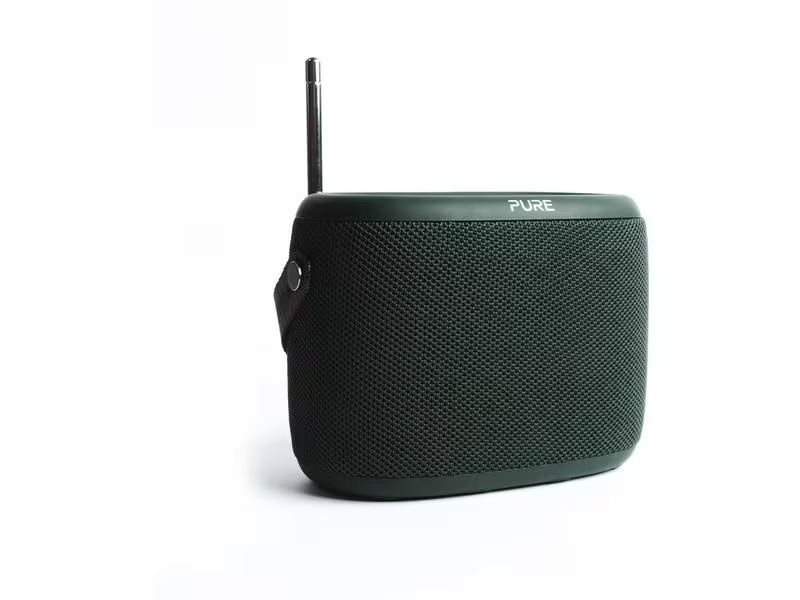 Pure Radio Woodland Grün