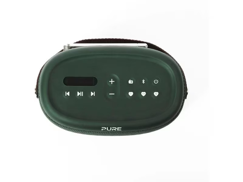 Pure Radio Woodland Grün