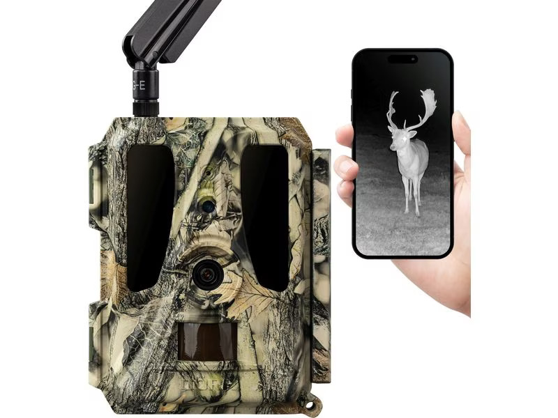 Dörr Kamera Wildkamera SnapShot Cloud Pro 4G