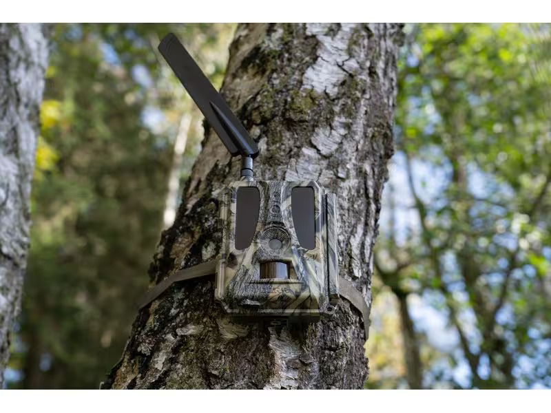 Dörr Kamera Wildkamera SnapShot Cloud Pro 4G WA