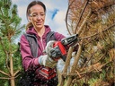 Einhell Akku-Kettensäge GE-PS 18/15 Li BL-Solo