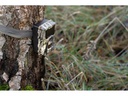 Dörr Kamera Wildkamera SnapShot Mini 5.0 Pro