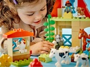 LEGO® DUPLO® Tierpflege auf dem Bauernhof 10416
