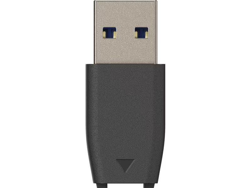 Synology Externe SSD BeeDrive 4000 GB