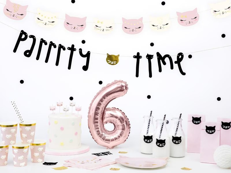 Partydeco Einwegteller Cat 22 x 20 cm, 6 Stück, Rosa