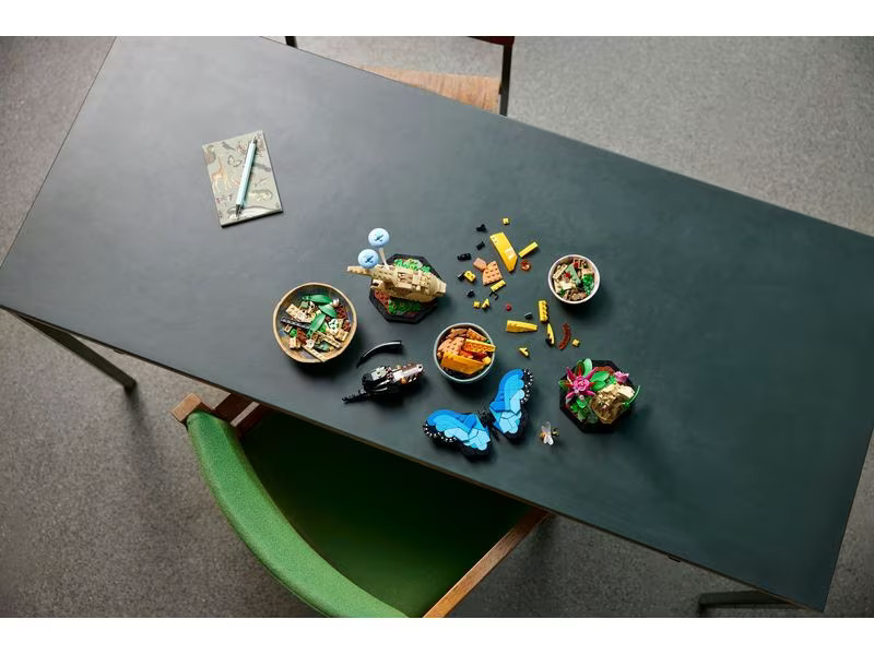 LEGO® Ideas Die Insektensammlung 21342