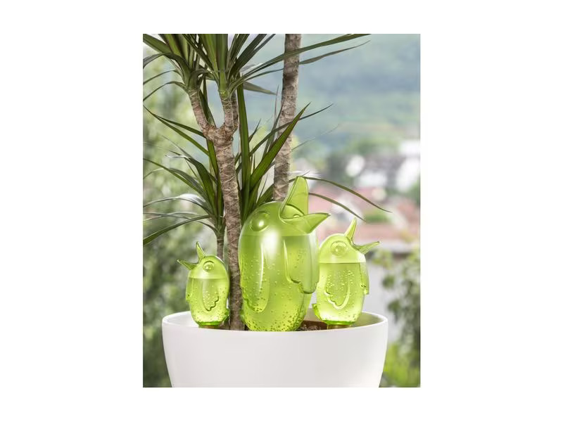 scheurich Wasserspender Bördy XL 3 Stück, Grün
