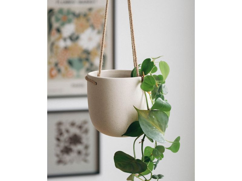 Esmée Blumentopf zum Hängen 15 cm, Beige