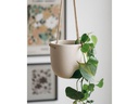 Esmée Blumentopf zum Hängen 15 cm, Beige