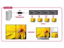 Delock 4-Port Signalsplitter &amp; Extender Mini-DP - DP