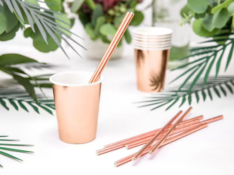 Partydeco Einwegbecher Uni 220 ml, 6 Stück, Rosegold