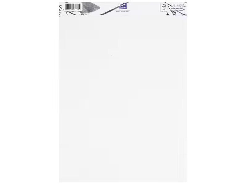Oxford Malblock Art Drawing A3, 40 Blatt