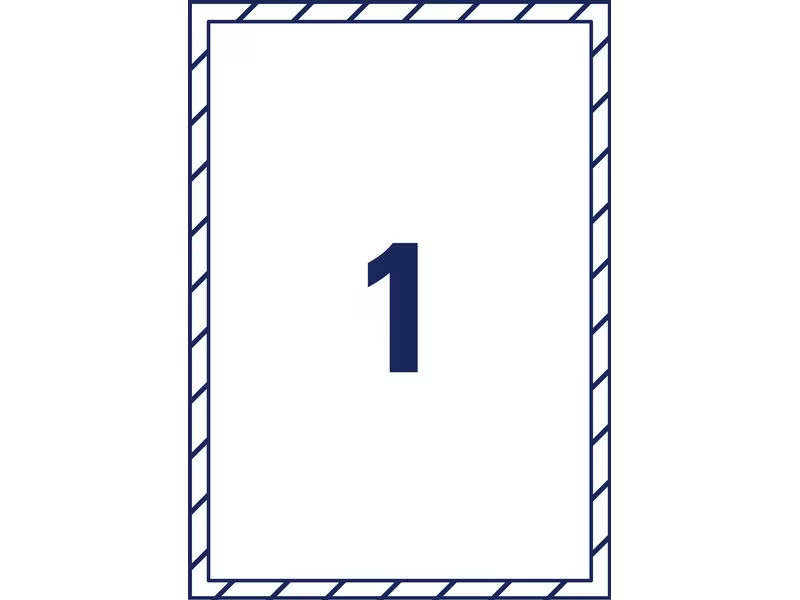 Avery Zweckform Vielzweck-Etiketten 210 x 297 mm, 10 Blatt, 10 Stück