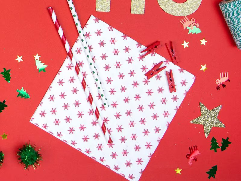 Partydeco Strohhalm 19.5 cm, 10 Stück, Rot/Weiss