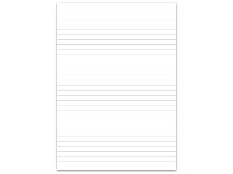Ursusgreen Notizbuch Geschäftsbuch A4, liniert