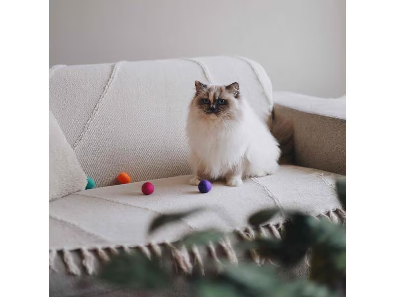 District 70 Katzen-Spielzeug Glow Felt Ball Toys, 35 mm, 4 Stück