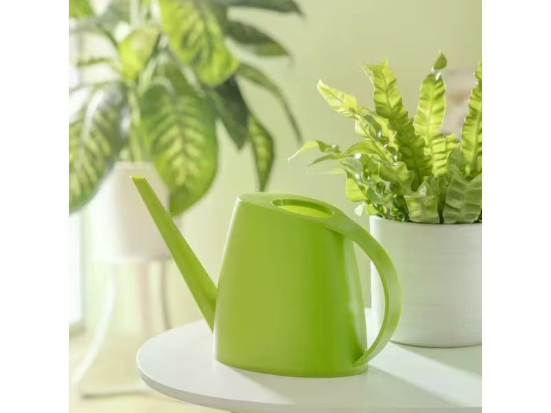 scheurich Giesskanne Lilly Grün matt