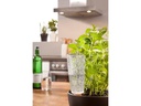 scheurich Wasserspender Copa M, Transparent