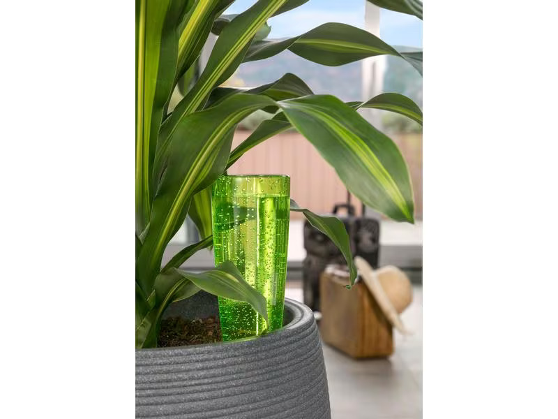 scheurich Wasserspender Copa M, Grün