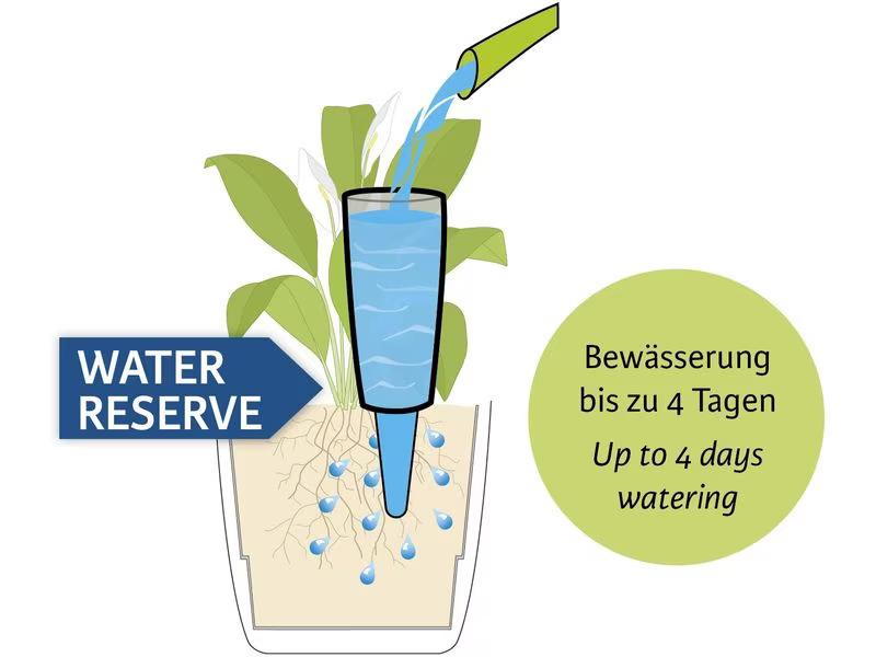 scheurich Wasserspender Copa M, Grün