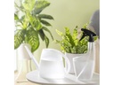 scheurich Handsprüher Smilla Transparent matt