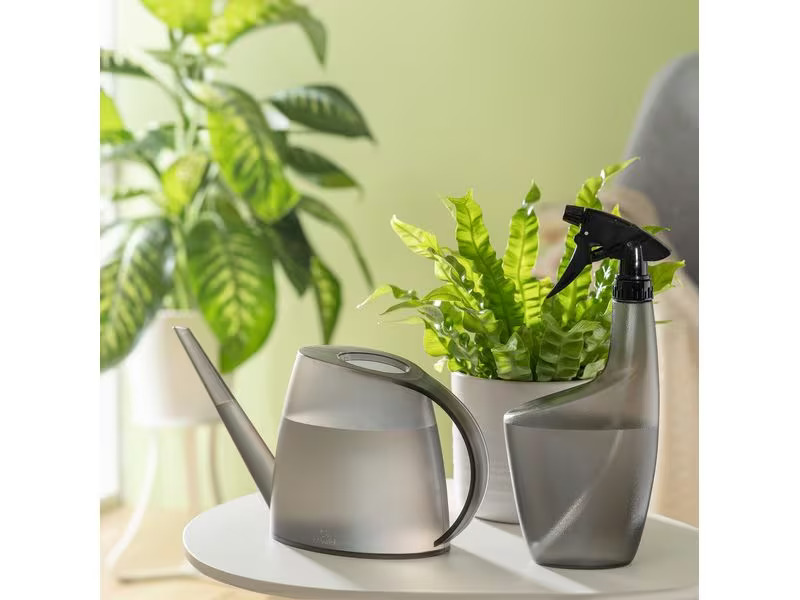scheurich Giesskanne Lilly Platin matt