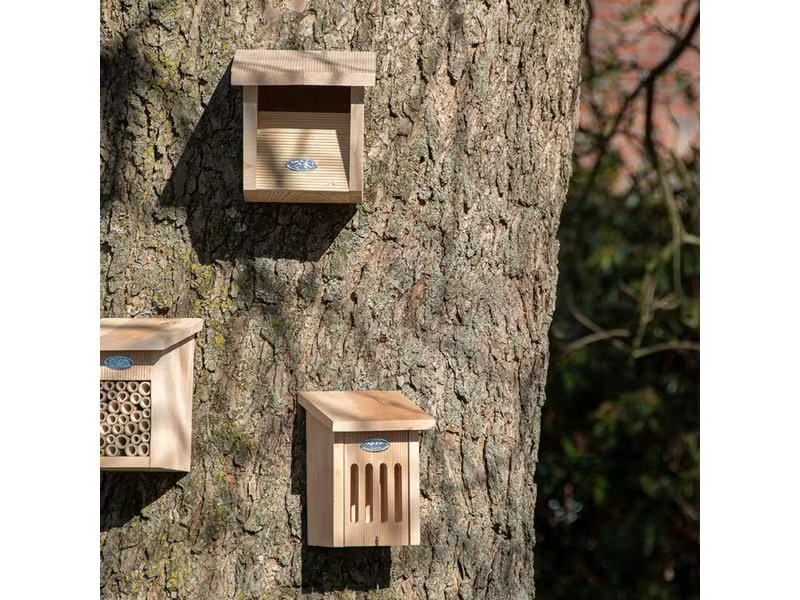Esschert Design Nistkasten Rotkehlchen