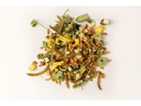 Lucky Reptile Alleinfutter Bearded Dragon Mix Adult, 70 g