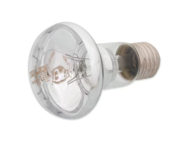 Repti Planet Daylight Basking Spot 75 W