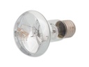 Repti Planet Daylight Basking Spot 25 W