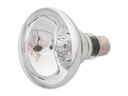 Repti Planet Daylight Basking Spot 150 W